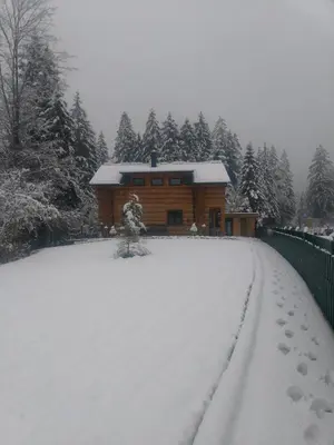 Ferienwohnungen Blockhaus - Zwergenhäusl Grünau im Almtal im Winter