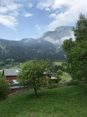 Naturlandschaft in der Nähe der Ferienwohnung