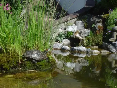 Naturlandschaft in der Nähe der Ferienwohnung