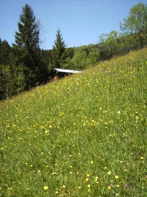 Naturlandschaft in der Nähe der Ferienwohnung