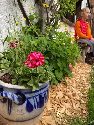 Ein Garten an der Unterkunft Moabauer