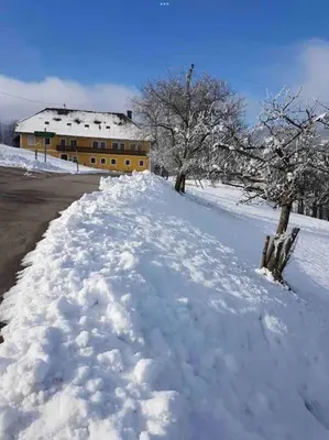 Ferienhof am Landsberg im Winter