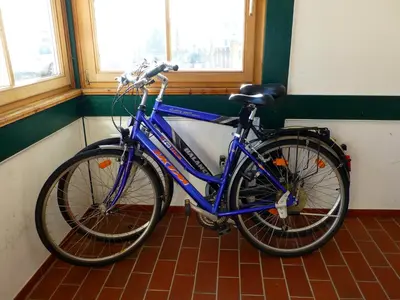 Radfahren an der Unterkunft Appartment Almenliesl oder in der Nähe