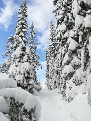 Premium Appartements Di Bora im Winter