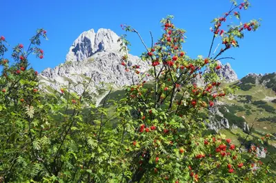 Naturlandschaft in der Nähe des Chalets