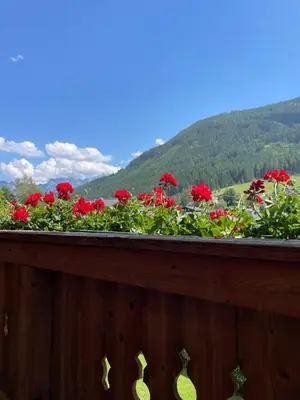 Ein allgemeiner Bergblick oder ein Berglick von der Ferienwohnung aus