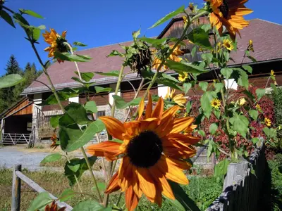 Ein Garten an der Unterkunft Gästehaus Biobauernhof Mandl
