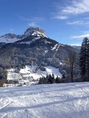 Naturlandschaft in der Nähe of country house