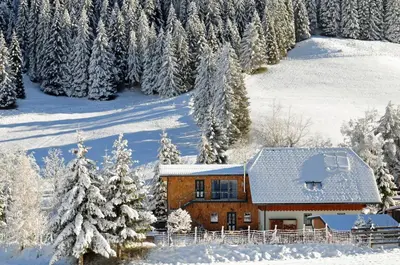 Landhaus Riesneralm im Winter