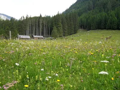 Naturlandschaft in der Nähe des Chalets