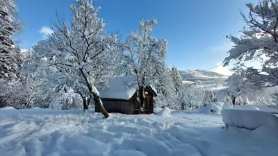Lammerauhof im Winter