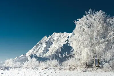 Pension Glitschnerhof im Winter