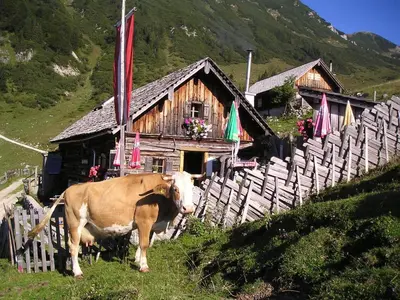 Tiere in der Ferienwohnung oder in der Nähe