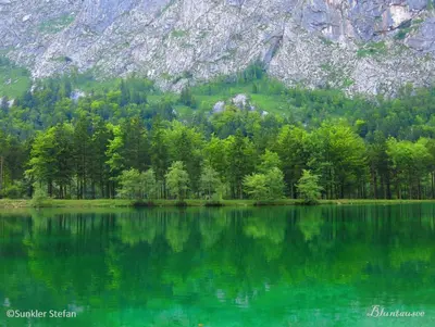 Naturlandschaft in der Nähe der Pension
