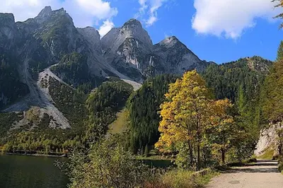 Naturlandschaft in der Nähe der Pension