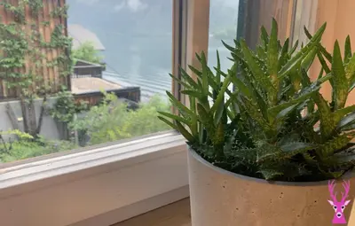 Ein allgemeiner Bergblick oder ein Berglick von der Ferienwohnung aus