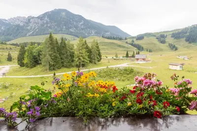 Naturlandschaft in der Nähe der Lodge