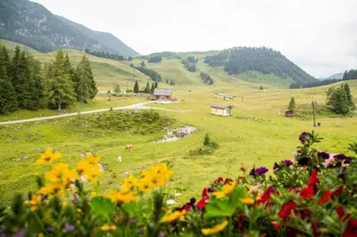 Naturlandschaft in der Nähe der Lodge