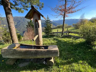 Naturlandschaft in der Nähe des Ferienhauses