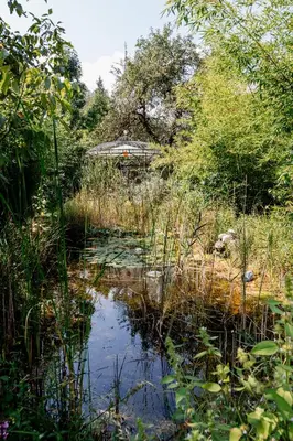 Naturlandschaft in der Nähe des Hotels