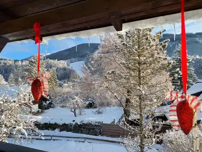 Haus Enzian im Winter