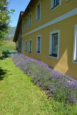 Ein Garten an der Unterkunft Wastlhof am Kreischberg