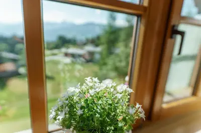 Ein Garten an der Unterkunft Landhaus Birgbichler - Apartments in Ramsau am Dachstein - inklusive Sommercard!