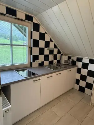 Küche/Küchenzeile in der Unterkunft Appartements Wieseneck - Ramsau am Dachstein - inklusive Sommercard!