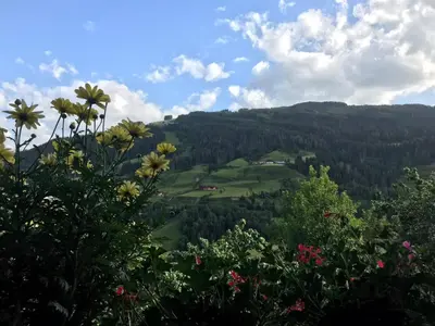 Naturlandschaft in der Nähe der Pension