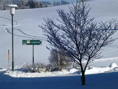 Lehnerhof im Winter