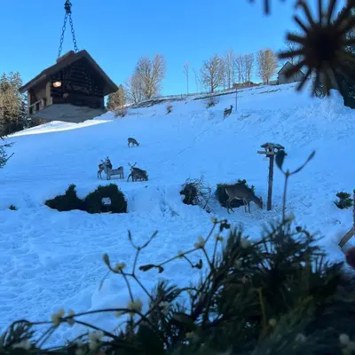 VOM REITER, Ferienwohnung am Bauernhof mit Bergblick und privater Infrarotkabine, Nahe Skipiste im Winter