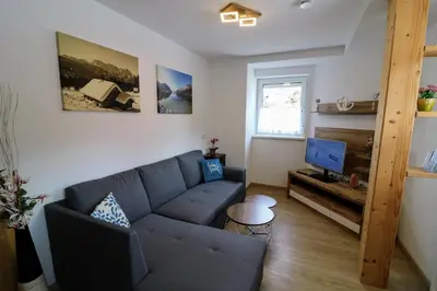 TV/Unterhaltungsangebot in der Unterkunft Ferienwohnungen ARIKOGEL Bad Goisern