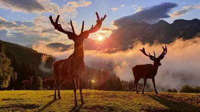 Naturlandschaft in der Nähe der Pension