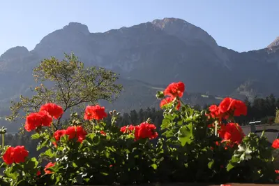 Ein allgemeiner Bergblick oder ein Berglick von der Ferienwohnung aus