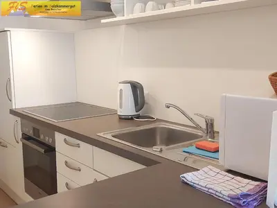 Küche/Küchenzeile in der Unterkunft Apartment Ausseerland