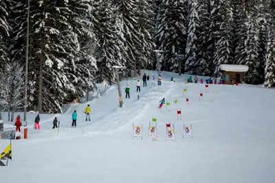 Dorf-Chalets Filzmoos mit Sauna im Winter
