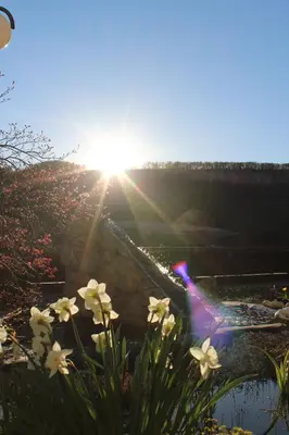 Naturlandschaft in der Nähe des Hotels