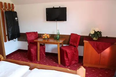 TV/Unterhaltungsangebot in der Unterkunft Hotel Lindwurm
