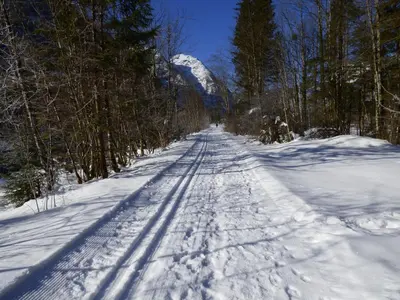 Grundriss der Unterkunft Haus Bergblick