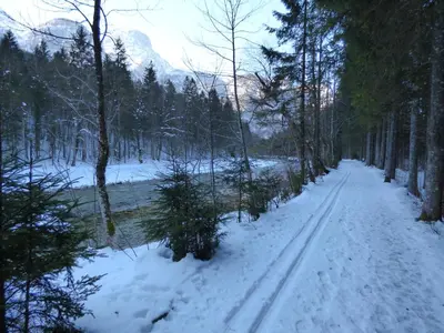 Grundriss der Unterkunft Haus Bergblick