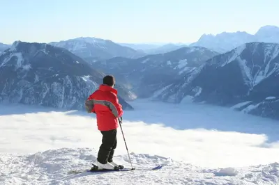 Gäste, die in der Unterkunft Panorama Hotel Traunstein übernachten