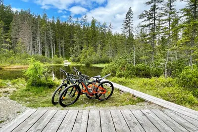 Radfahren an der Unterkunft B&B Landhaus Vierthaler oder in der Nähe
