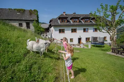 Tiere in diesem Bauernhof oder in der Nähe