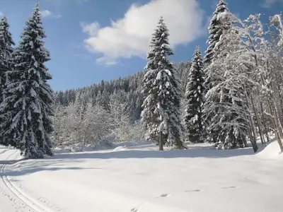 Haus Viehhauser im Winter