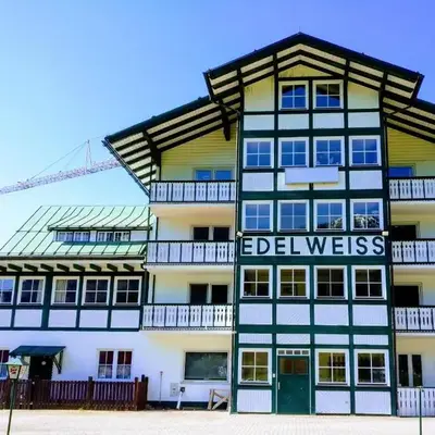 Pension Edelweiss Top 25 - Dachstein West