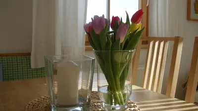 Grundriss der Unterkunft Appartements Jägerrast
