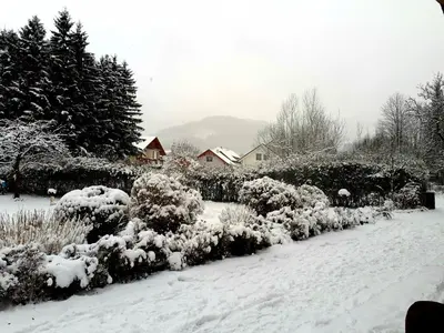 Lucky Lady im Winter