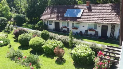 Ein Garten an der Unterkunft Lucky Lady