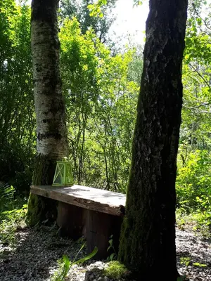 Naturlandschaft in der Nähe der Ferienwohnung
