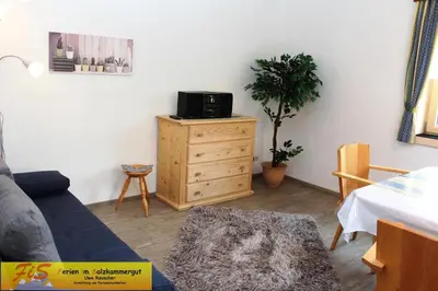 TV/Unterhaltungsangebot in der Unterkunft Haus Seeruhe - direkt am Grundlsee